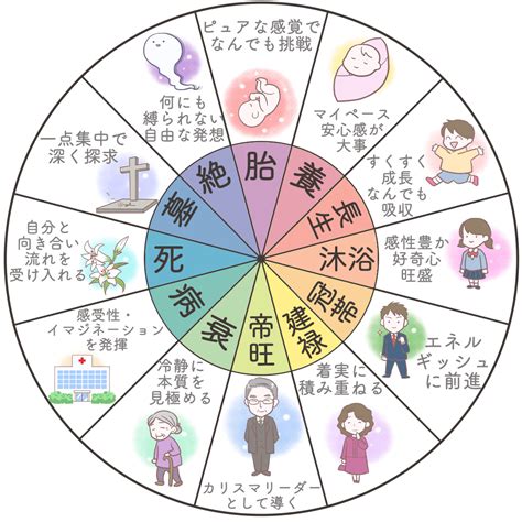 長生十二運|四柱推命の十二運星「長生」の意味とは？性格・適職・恋愛を解。